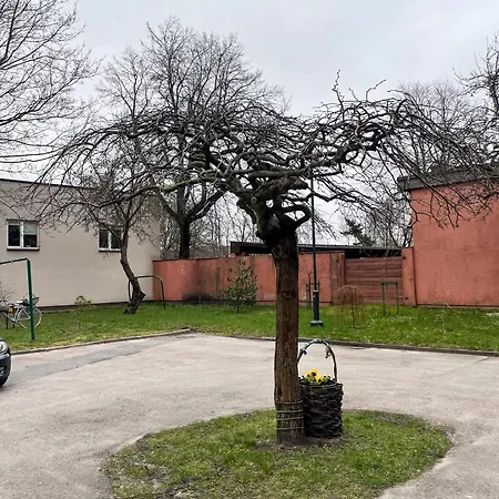 Cosy Mini In Old Town * Klaipėda